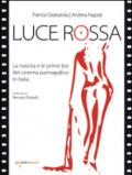 Luce rossa. La nascita e le prime fasi del cinema pornografico in Italia