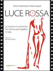 Luce rossa. La nascita e le prime fasi del cinema pornografico in Italia