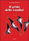 Il grido delle rondini