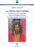 La crepa dell'essere. Ricognizioni teologiche e filosofiche a partire dal Vangelo di Giovanni