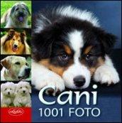 Cani