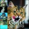 Gatti