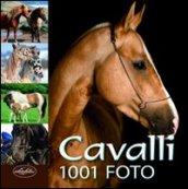 Cavalli