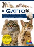 Il gatto