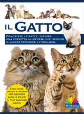 Il gatto