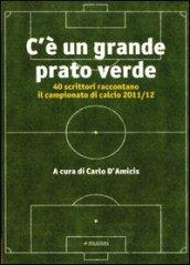 C'è un grande prato verde. 40 scrittori raccontano il campionato di calcio 2011/12