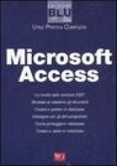 Microsoft Access 2007