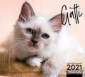 Gatti. Calendario 2021