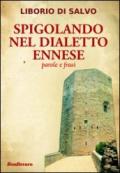 Spigolando nel dialetto ennese. Parole e frasi