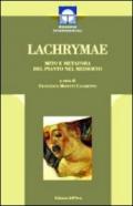 Lachrimae. Mito e metafora del pianto nel medioevo