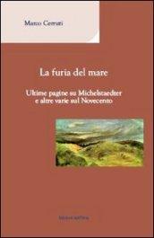 La furia del mare. Ultime pagine su Michelstaedter e altre varie sul Novecento