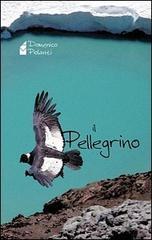 Il pellegrino