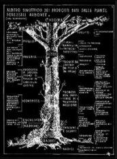 I disegni di Romano Barocchi per il manuale di tecnologia del legno. Ediz. illustrata