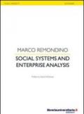 Social systems and enterprise analysis