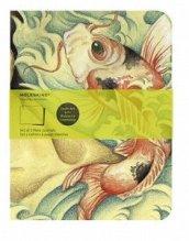 Cover Art Carp Fish, plain