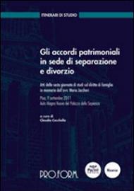 Gli accordi patrimoniali in sede di separazione e divorzio. Atti della 6° Giornata di studi sul diritto di famiglia in memoria dell'avv. Mario Jaccheri