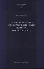 L'adunanza plenaria del Consiglio di Stato e il vincolo del precedente