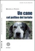 Un cane col pallino del tartufo