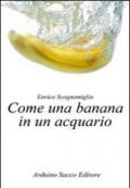 Come una banana in un acquario