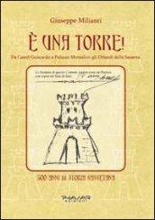 E una torre! Da Castel Guiscardo a Palazzo Montalvo. Gli Orlandi della Sassetta. 500 anni di storia sassetana