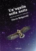 Un'aquila nella notte