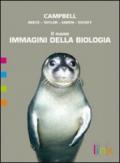 Il nuovo immagini della biologia. Vol. C: Il corpo umano. Per le Scuole superiori. Con espansione online