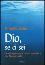 Dio, se ci sei. Grandi esperienze di fede da Agostino a Dag Hammarskjold