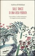 Sulle tracce di una rosa perduta. Uno scrittore. Un fiore misterioso. Un viaggio tra storia e giardini