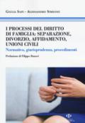 I processi del diritto di famiglia: separazione, divorzio, affidamento, unioni civili. Normativa, giurisprudenza, procedimenti