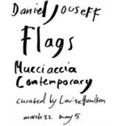 Flag. Mucciaccia contemporary. Ediz. italiana e inglese