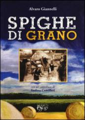 Spighe di grano