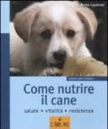 Come nutrire il cane. Salute. Vitalità. Resistenza