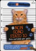 Non sono stato io. Foto-cartoline per gatti: 1