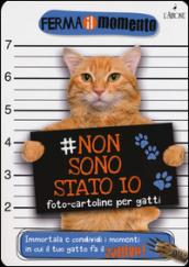 Non sono stato io. Foto-cartoline per gatti: 1