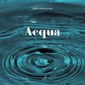 Acqua. Ediz. illustrata