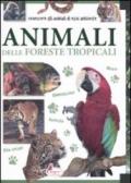 Animali Delle Foreste Tropicali