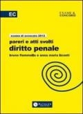 Pareri e atti svolti di diritto penale. Esame di avvocato 2012