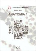 Anatomia 1