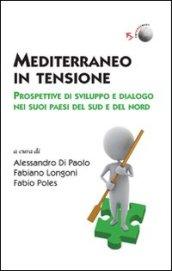 Mediterraneo in tensione. Prospettive di sviluppo e dialogo nei suoi paesi del Sud e del Nord