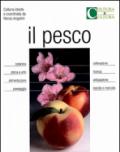 Il pesco