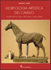 Morfologia artistica del cavallo