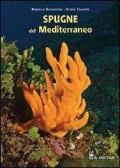 Spugne del Mediterraneo