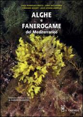Alghe e fanerogame del Mediterraneo. Ediz. illustrata