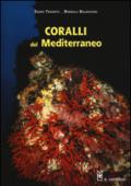 Coralli del Mediterraneo