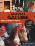 Allevare galline. Guida pratica alla risoluzione dei problemi più comuni