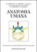 Anatomia umana