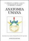 Anatomia umana