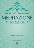 Il piccolo libro della meditazione