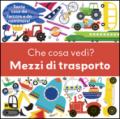 Che cosa vedi? Mezzi di trasporto