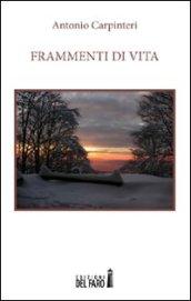 Frammenti di vita